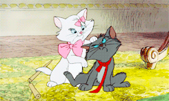 lady-arryn: Everybody wants to be a cat. Because a cat’s the only cat who knows
