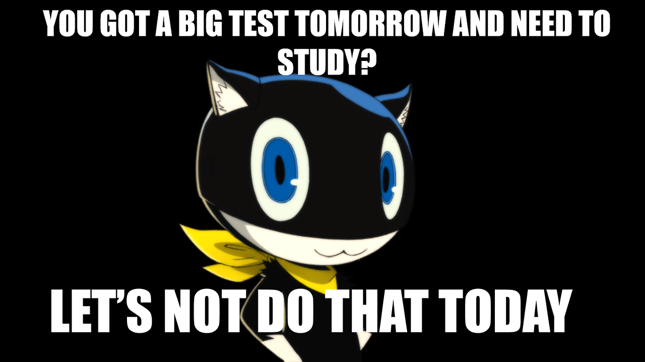 persona4comics: Personal Assistant Morgana.