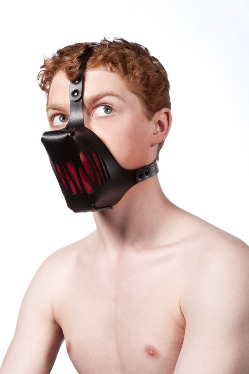puppygear:  [x] comes in different colors 