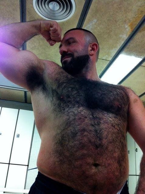 Joetowncub's Daddy bears, chubs and cubs