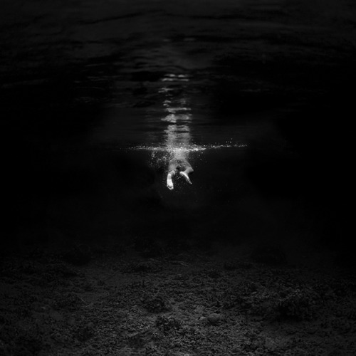 myampgoesto11: Black and white underwater photography by Hengki Koentjoro