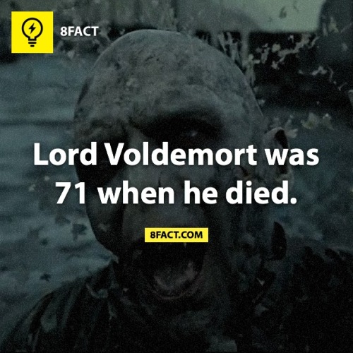 nightl0cked: meinefluchderzeit: Harry Potter Facts Voldy only lived to 71? He killed for immortality