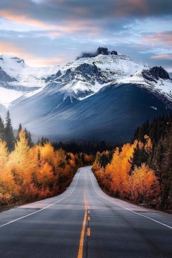 maureen2musings:  Icefieldsaswediscover