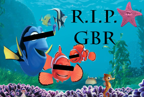 pisceswitch: hipstermoriarty: hipstermoriarty: lostthebattlebutwonthewar: Great Barrier Reef authori