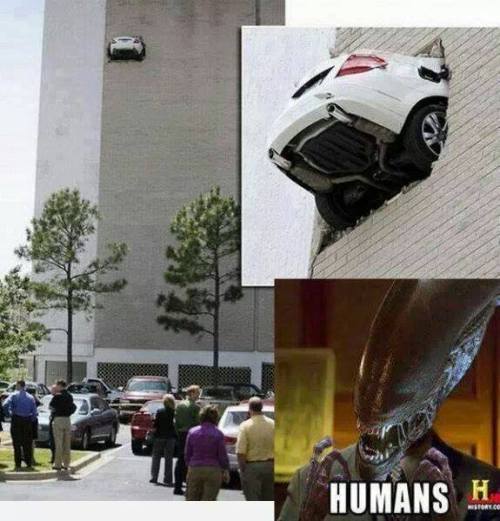 First memes