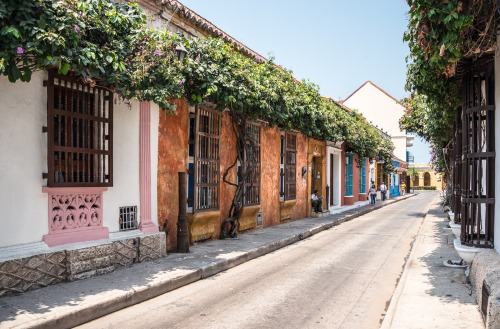 Cartagena, Colombia | Max Rewinski