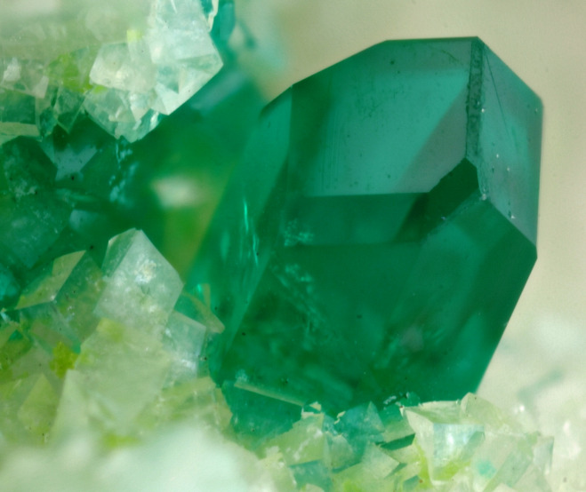 underthescopemineral:  Dioptase               CuSiO3·H2OLocality:Tsumeb Mine