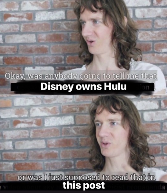 surnumanaja:  runcibility:  lesbiansandpuns:  germanmoonhowler:  boogiepopular:  trustmeimafraggle:   haylyay:  bubblycowboy:  rinokami:  unclefather:   disney: we’re taking all of our movies off of streaming services and we’re going to charge you