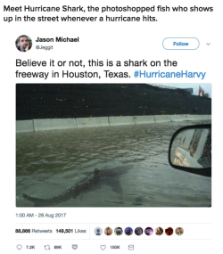 buzzfeed:  This shark is a dedicated storm-chaser.