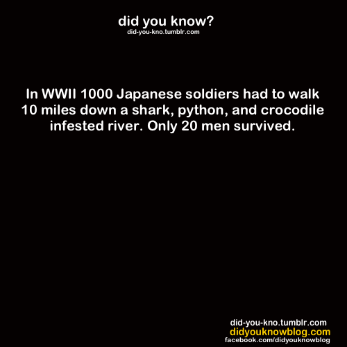 did-you-kno:  Source 