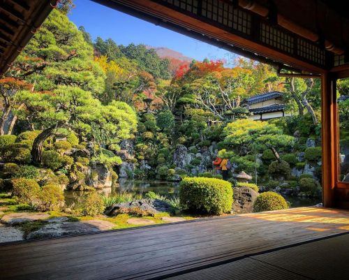 ＼おにわさん更新情報／ ‪[ 鳥取県智頭町 ] 石谷氏庭園（石谷家住宅） Ishitani Residence Garden, Chizu, Tottori の写真・記事を更新。 ーー近代鳥取の高額納