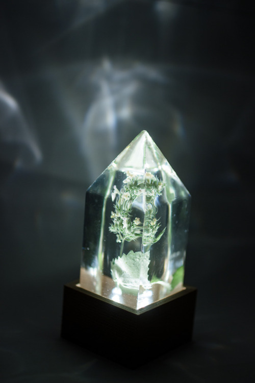 mossofthewoodsjewelry: Moss of the Woods: Catnip Prism Light Giveaway!Since today is such a big upda