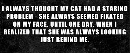 sixpenceee:  hey guys since the creepy stories I post are so highly requested, I found more 2 sentence horror stories!  if you wanna read more creepy stories that will scar you for life click here  Oh.. My… God … ._.