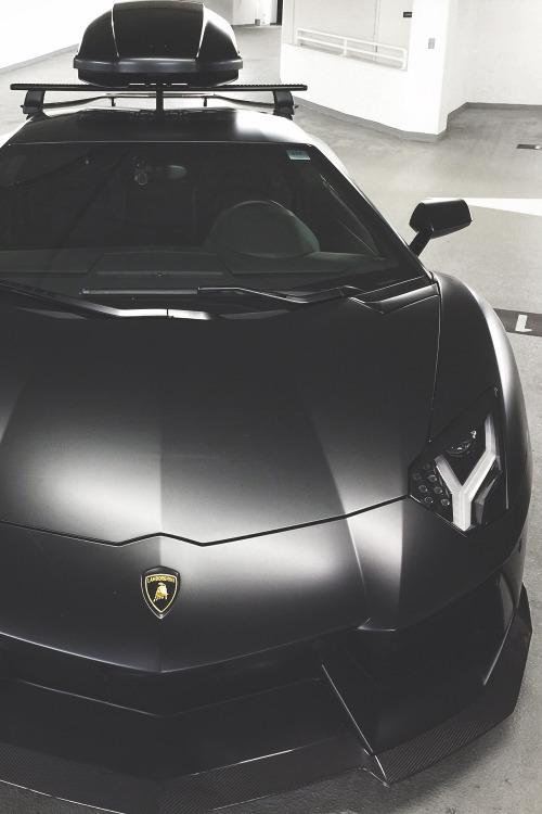 Luxury Buzz