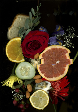 Scanned-Still-Lifes:scanned Still Lifes By Nadine Maher