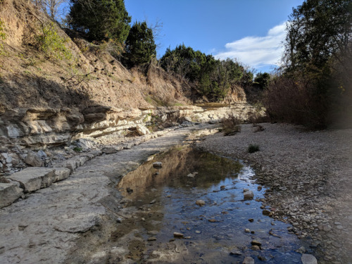 We went for a walk at Walnut Creek park near Austin, Tx. and were pleasantly surprised. I’m no