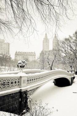 earthpics4udaily:  Winter In Central Park