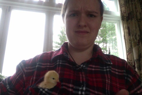 plaideangel:  plaideangel:  thewifeofloki:  what the hell do you mean chicks don’t like plaid  this one does  oh shit  wHAT   CHICKS REALLY LIKE PLAID WATCH OUT   chick magnet  WHICH ONE OF YOU DICKHEADS BROUGHT THIS BACK JUST WHEN I THOUGHT IT HAD