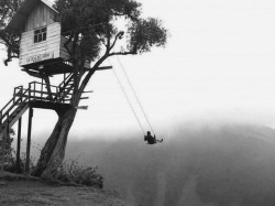 hannah-wants-to-die:  desiringfreedom:  &lsquo;the swing at the end of the world&rsquo; with no safety measures, just simply a swing on the edge of a cliff in Ecuador. not mine, just my edit. i just thought it was so amazing and had to be available in