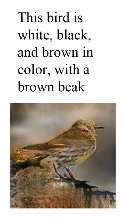 odditycollector: StackGAN: Text to Photo-realistic Image Synthesiswith Stacked Generative Adversaria