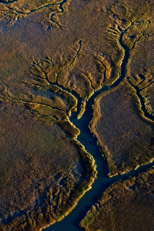 Happy Earth Day. (aerial photo over the marshlands of South Carolina, 2011) Photo by Yve Assad