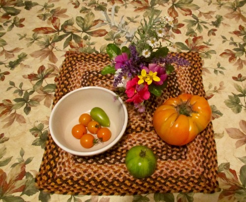 Early autumn in the kitchen.Sungold  (small) and striped German tomatoes from the local organic