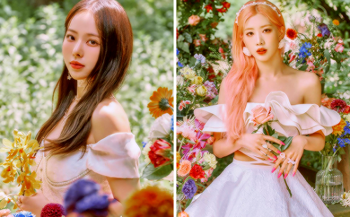 pinkmatters: LOONA [FL!P THAT] Concept Photos