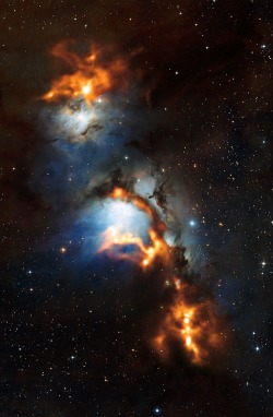 This image of the region surrounding the reflection nebula Messier 78, just to the north of Orion’s belt, shows clouds of cosmic dust threaded through the nebula like a string of pearls. The submillimeter-wavelength observations, made with the Atacama