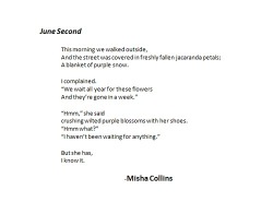 Infinite-Jubilation:  Ladies And Gentleman, I Give You The Published Poems By Misha