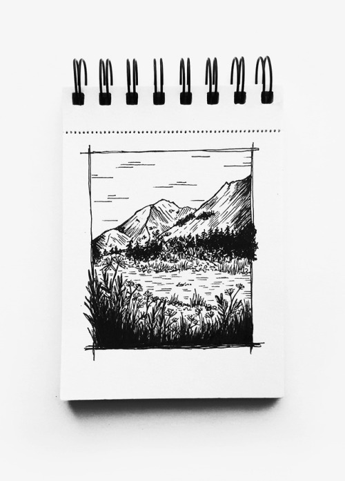 Small landscape doodle