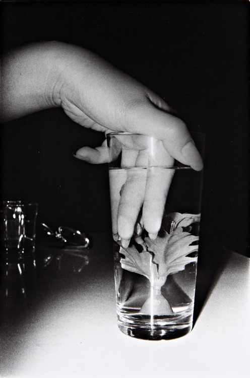 drinktheantidote: Photography by Daido Moriyama