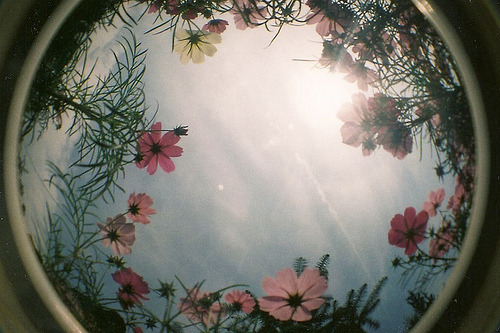 ☽