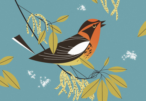 allofthegoodthatwontcomeoutofme:Charley Harper @aeide-thea