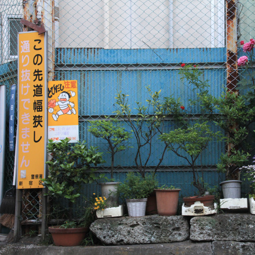 uroko:tokyo dreams | ©©©