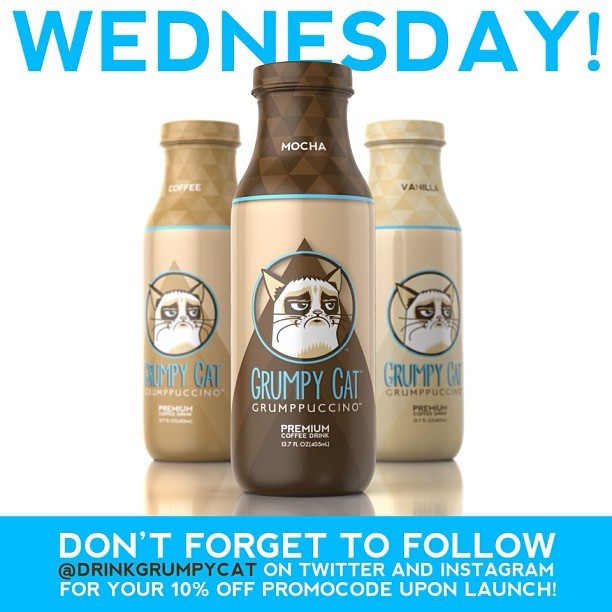 Only a couple more days until #grumppuccino becomes available for pre-order! Follow @DrinkGrumpyCat for a 10% off promocode upon...