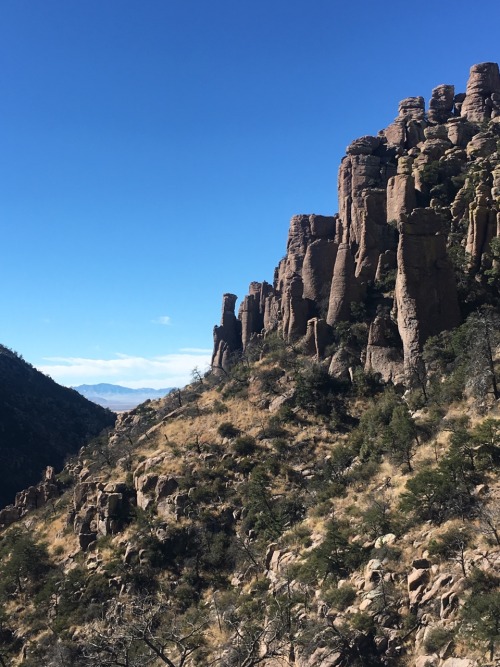 thetwigandthetamarack:Chiricahua National Monument || Willcox, AZ || january 8, 2017