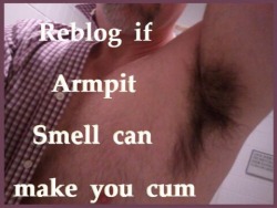 outjake:  batorwolf:  Depends on the armpit…  my partners can.  And he knows it - and uses it lol.  Never cum from it but it sure as shit turns me on