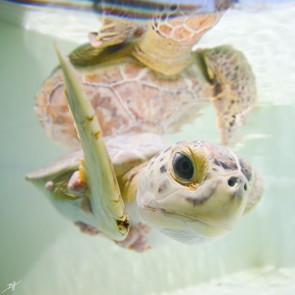 atraversso: Summer Is Coming - By:  Ben Hicks Photographer