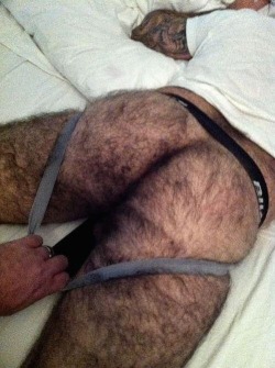 Hairy Arses