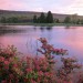 etherea1ity:this specific genre of photography brings me so much peacesources: x
