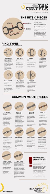 eq-uitation:  I feel like there’s a ton of stuff going around about bits. I found this on Pinterest 