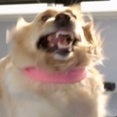 madiesunny:  I can be your angelOR YOUR DEVIL