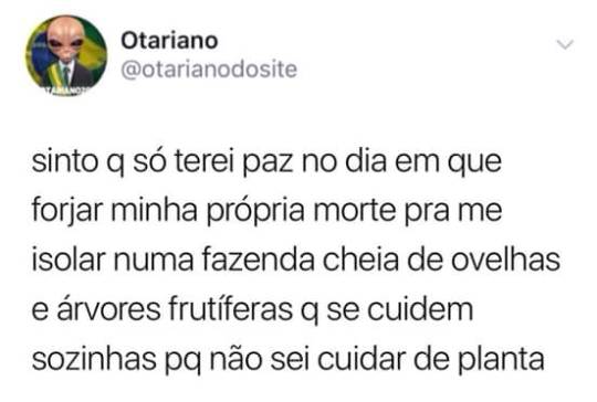 brutamente-meiga: