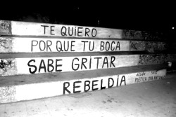 accionpoeticaenchile:  &ldquo;Te quiero porque tu boca sabe gritar rebeldía&quot; Acción poética en Chile (San Antonio)      