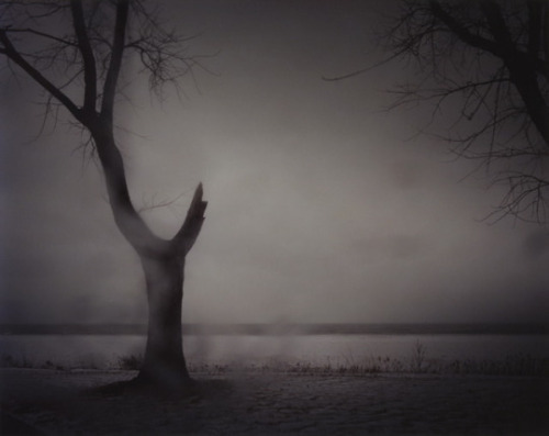 the-night-picture-collector: Todd Hido, From the Series “ Excerpts From Silver Meadows”,