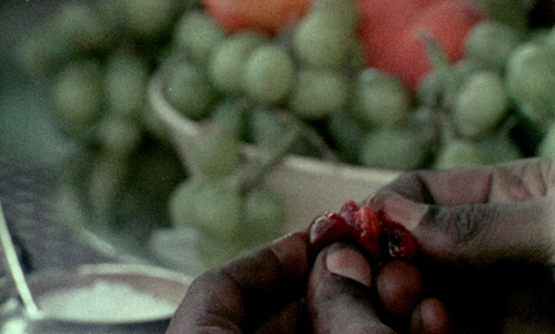 viceofknives: Ganja &amp; Hess (dir. Bill Gunn, 1973)