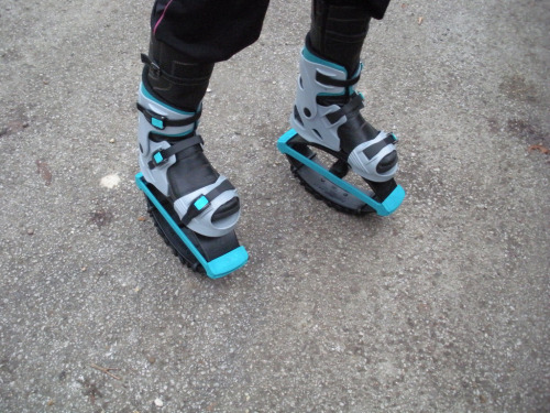 carapils:  want