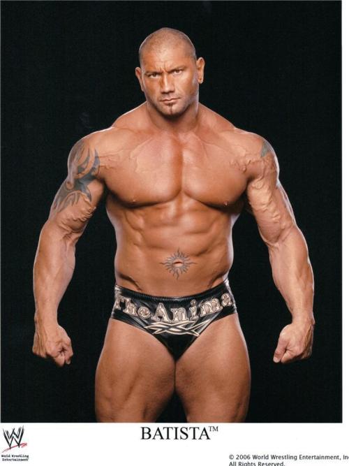 fighterscircle:  Royal Rumble Winners: Batista