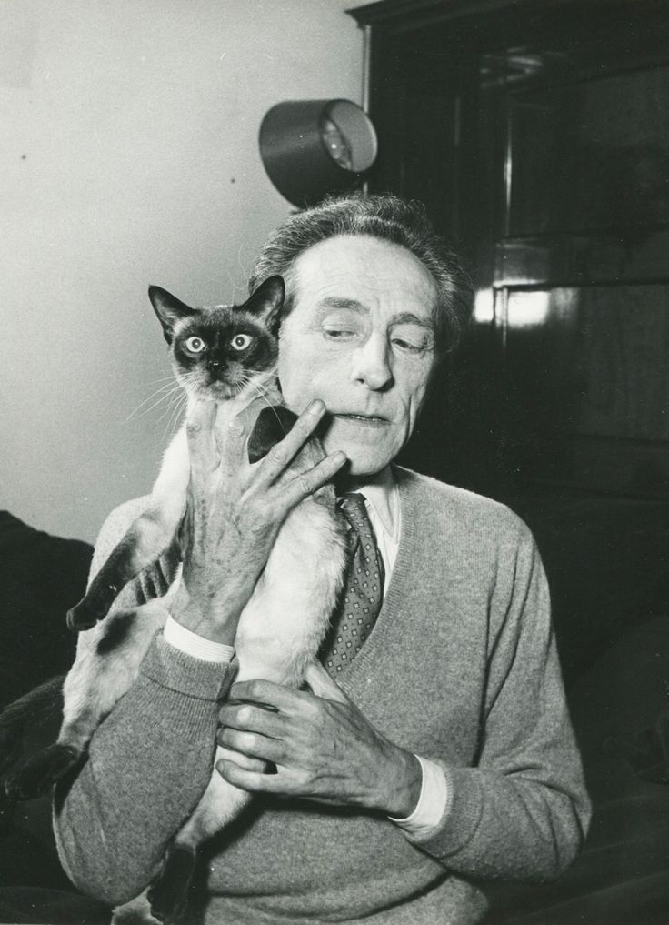 Escritores y sus gatitos…. Allen Ginsberg Charles Bukowski Edgar Allan Poe H P