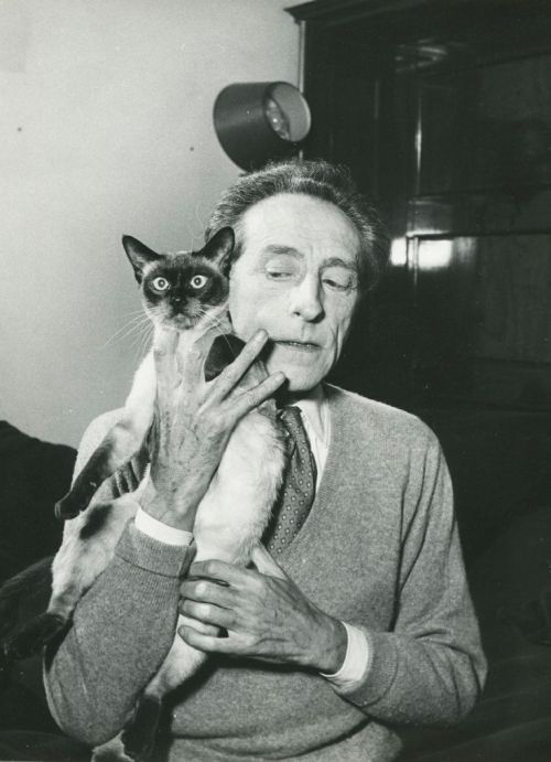 Escritores y sus gatitos…. Allen Ginsberg Charles Bukowski Edgar Allan Poe H P Lovecraft Jean Cocteau Jorge Luis Borges Michel Foucault Raymond Chandler Jean-Paul Sartre Julio Cortázar 